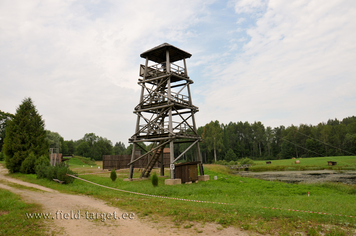 Vahel lasti tornist ülevalt alla ja vahel jälle alt ülesse